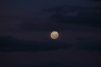 Midnight moon in Victoria, Australia